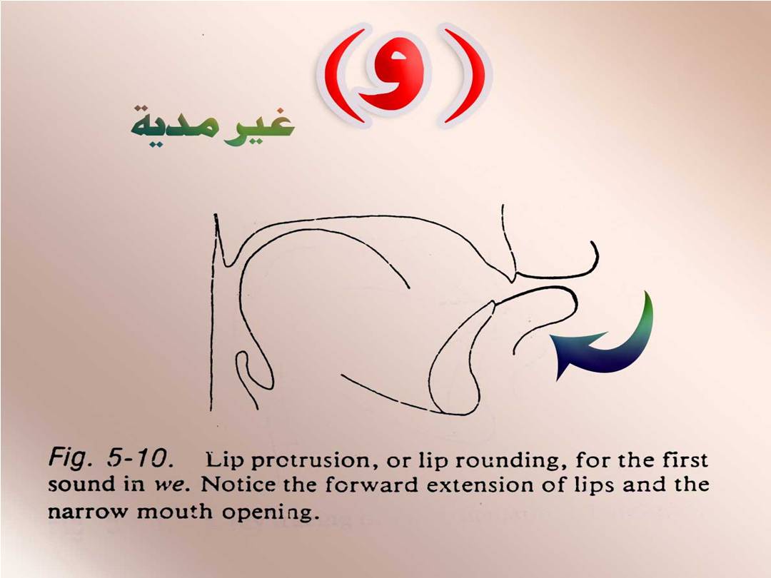 تجويد الحرف - مخارج الحروف